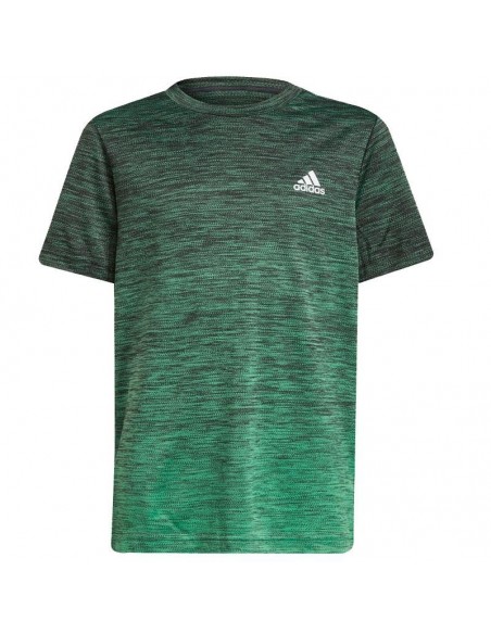ADIDAS CAMISETA PERFORMANCE A.R. GRAD VERDE JUNIOR