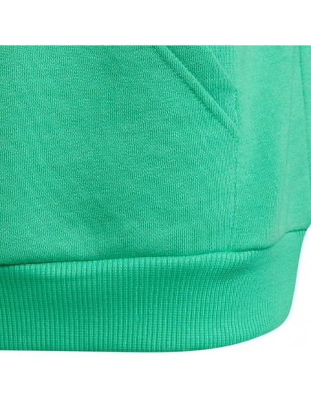 ADIDAS SUDADERA ESSENTIALS LOGO HD VERDE JUNIOR