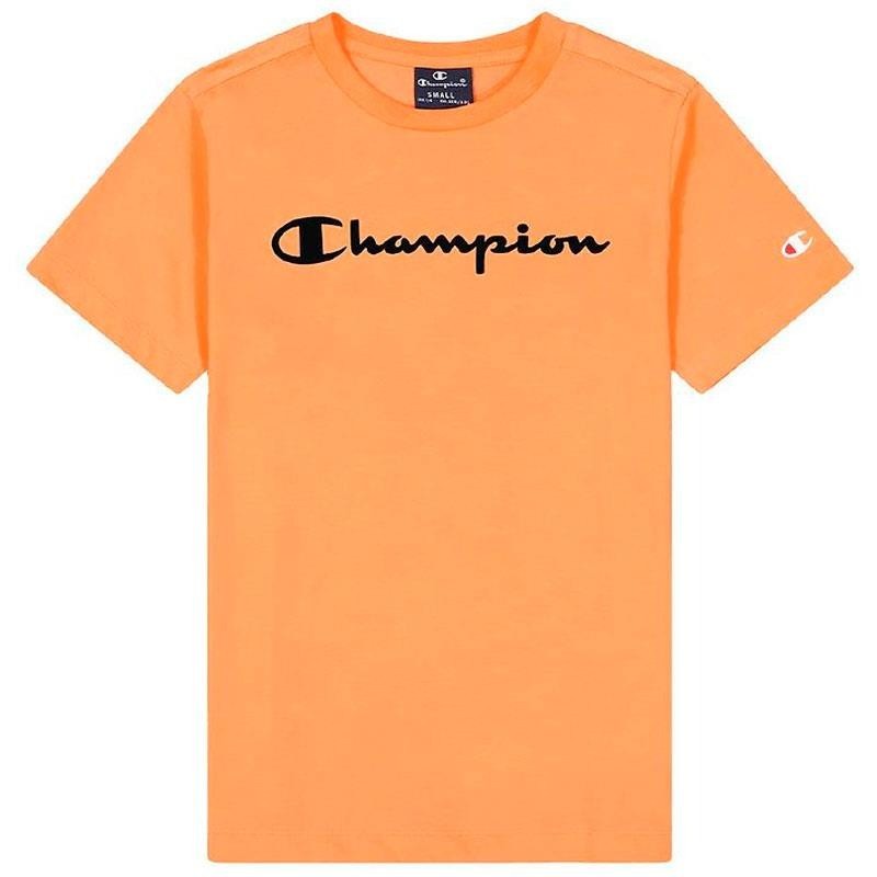 CHAMPION CAMISETA AMERICAN