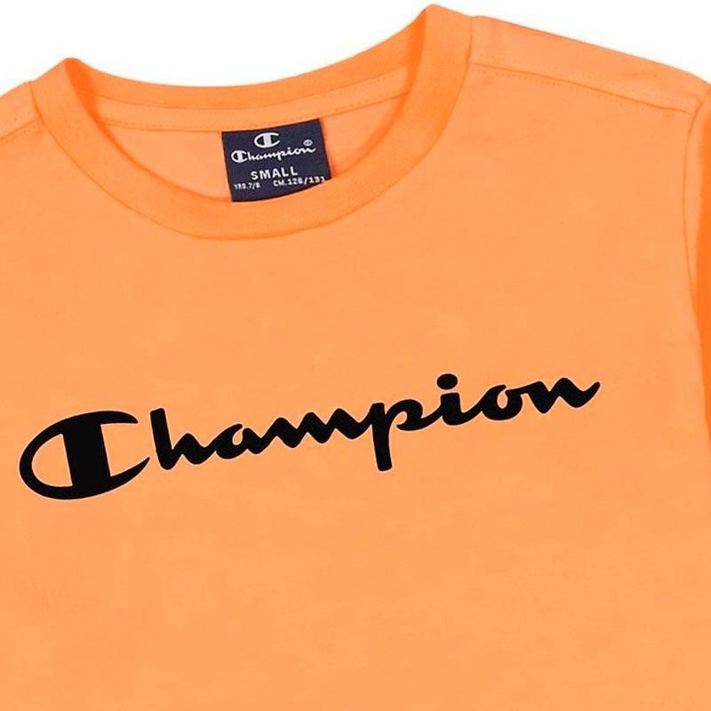 CHAMPION CAMISETA AMERICAN 2