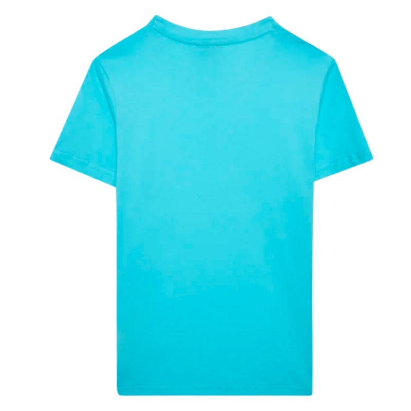 CHAMPION CAMISETA AMERICAN 2