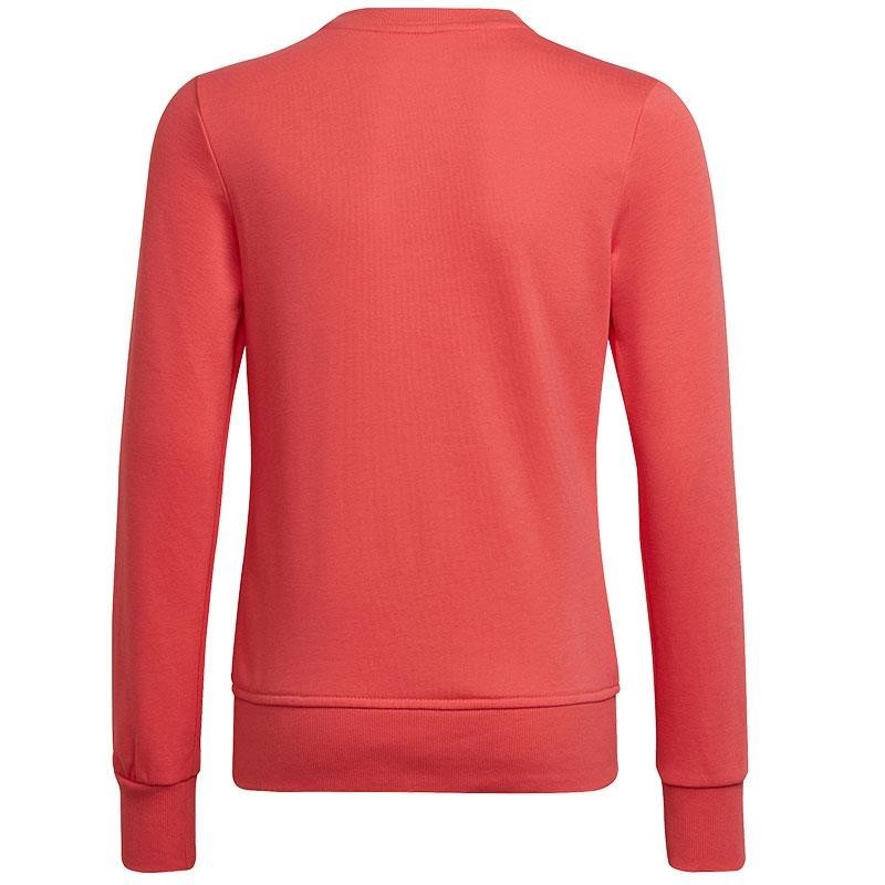 ADIDAS SUDADERA ESSENTIALS NIÑO 2