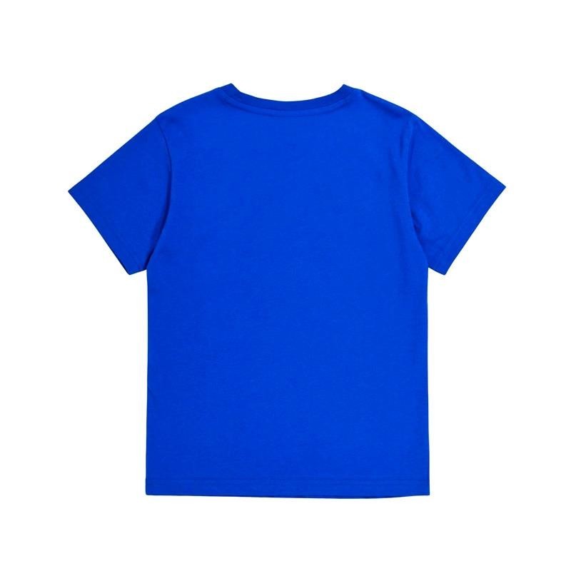 CHAMPION CAMISETA GRAPHIC USA 2