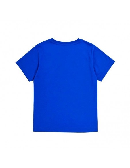 CHAMPION CAMISETA GRAPHIC USA CHAMPION CAMISETA GRAPHIC USA