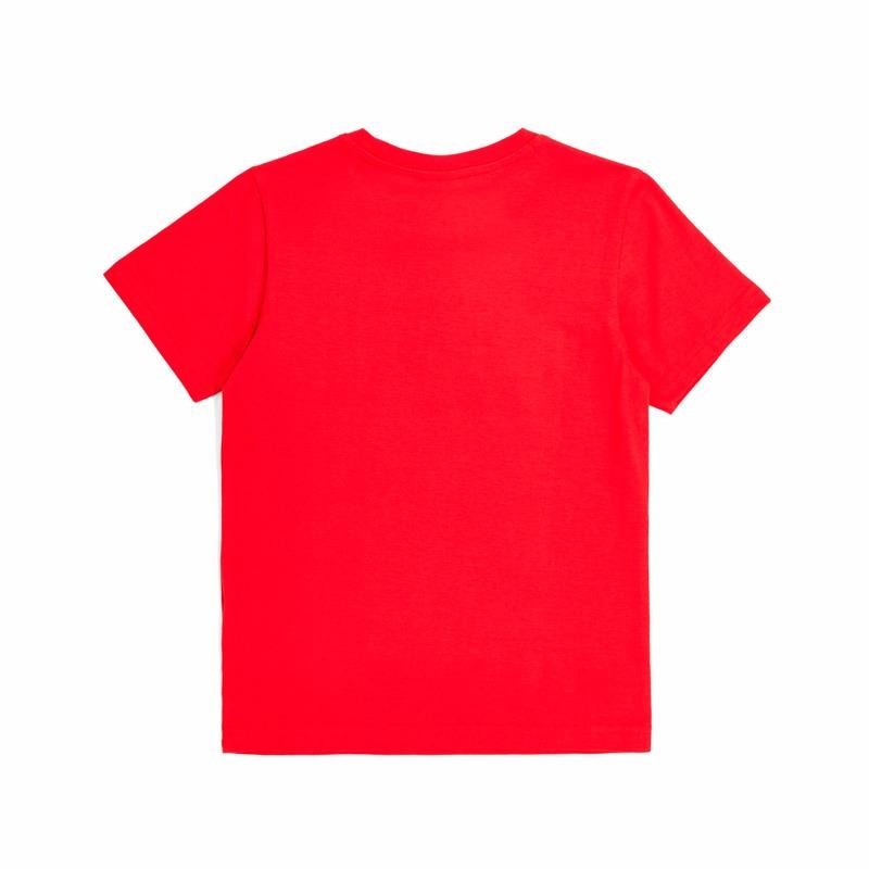 CHAMPION CAMISETA GRAPHIC USA 2