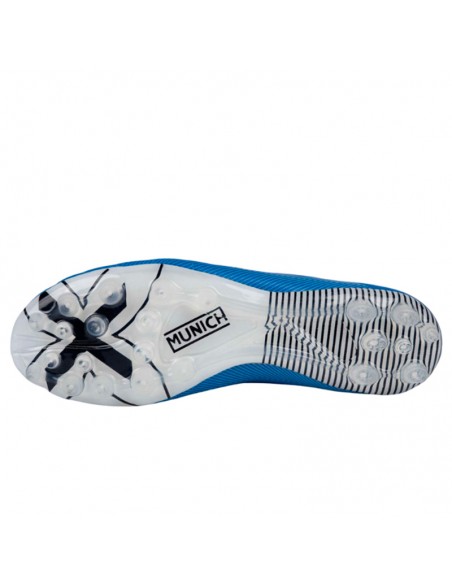 MUNICH ARENGA MUNICH ARENGA