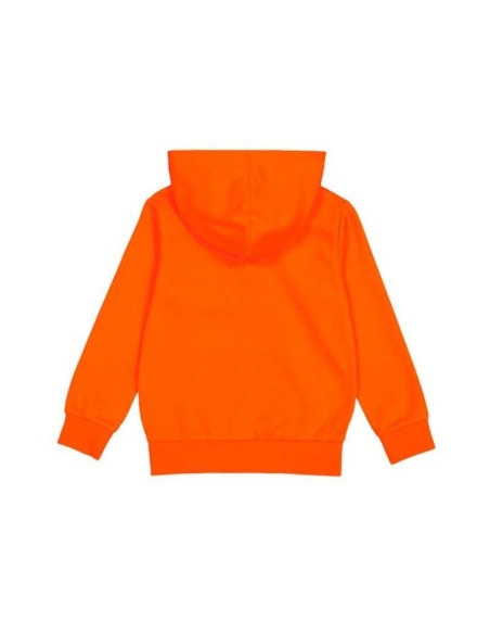 CHAMPION SUDADERA HOODED