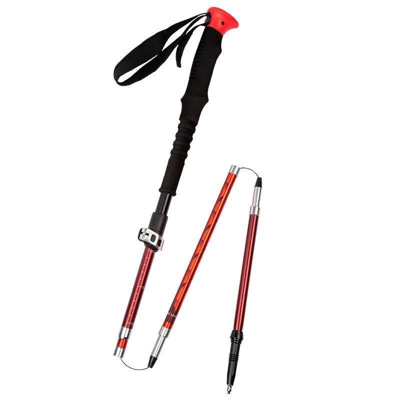 Bastones Elementerre Lagoya