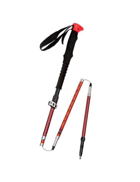 Bastones Elementerre Lagoya