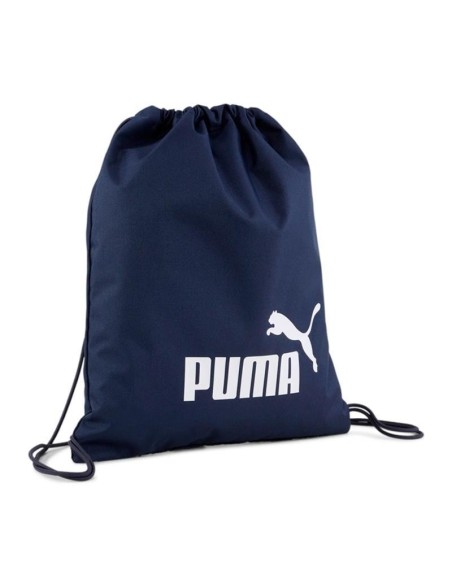 Saco Puma Phase 14L
