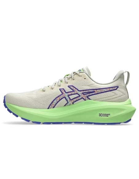 Zapatillas Asics Gt-2000 13 Tr