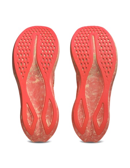 Zapatillas Asics Noosa Tri 16 Zapatillas Asics Noosa Tri 16