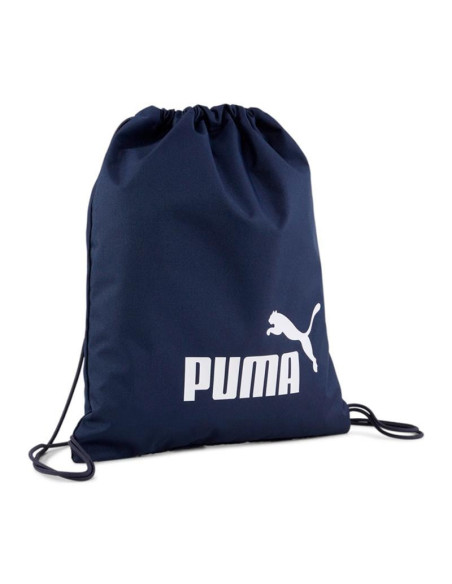 Saco Puma Phase 14L