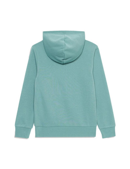 Sudadera Champion Hooded