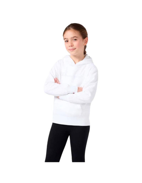 Sudadera Champion Icons