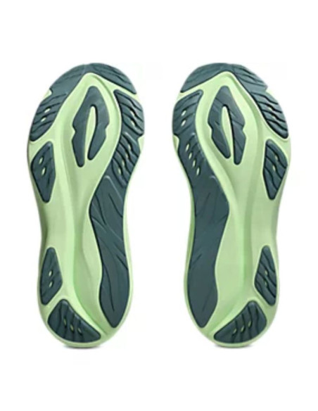 Zapatillas Asics Gt-2000 15