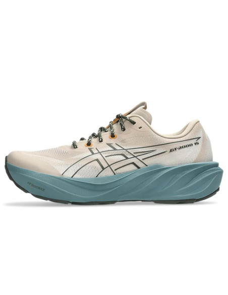 Zapatillas Asics Gt-2000 15 Tr